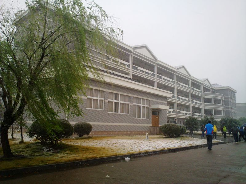 20101215979.jpg