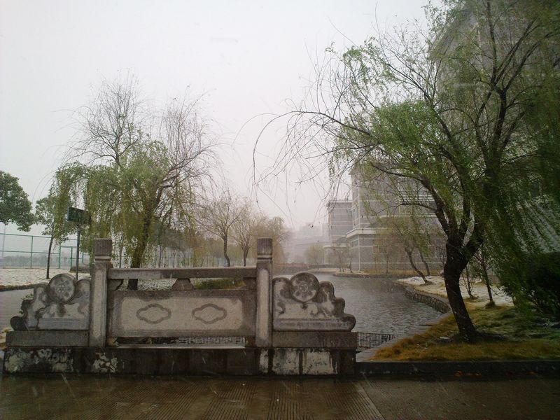 20101215980.jpg