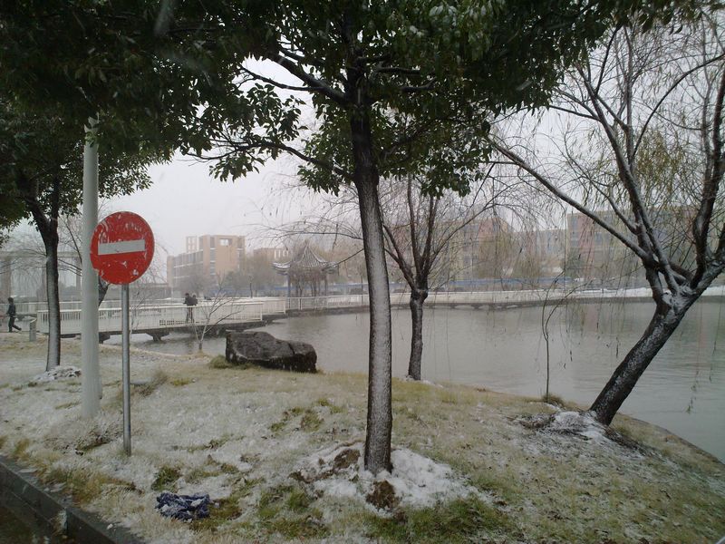 20101215981.jpg