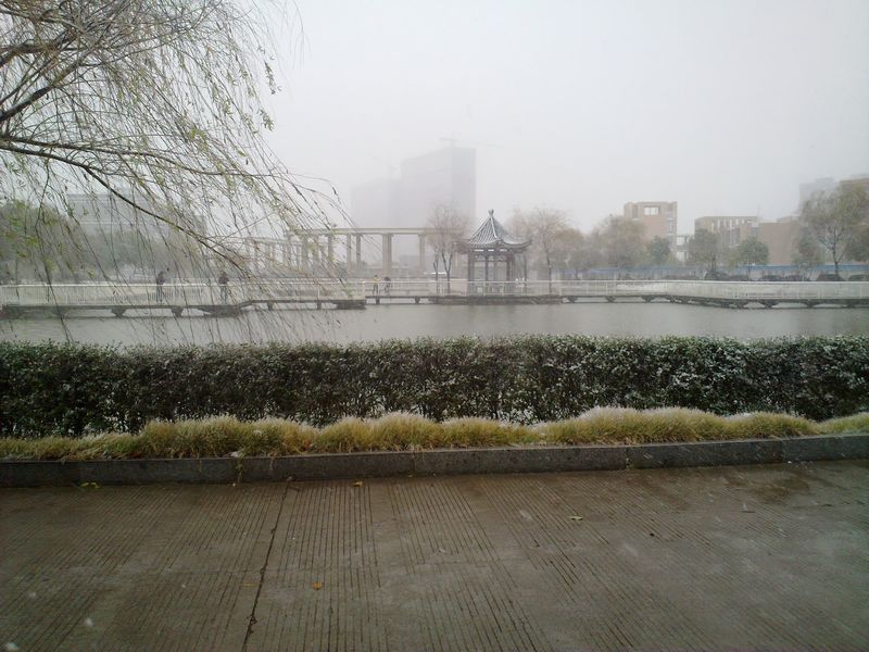 20101215982.jpg