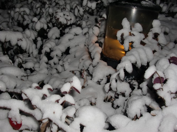 雪2.jpg