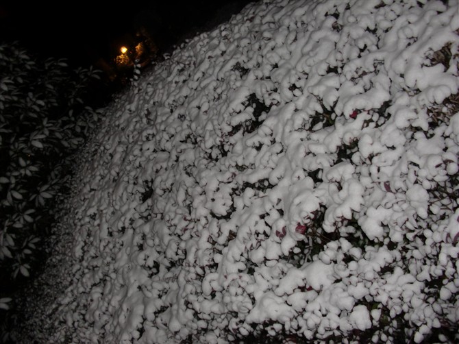 雪9.jpg