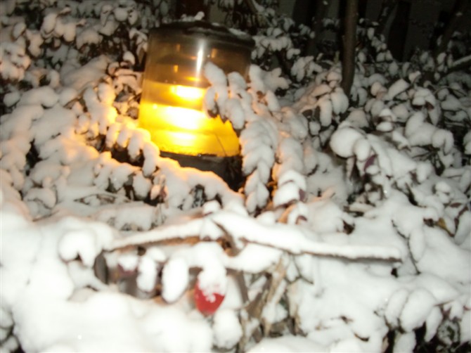 雪3.jpg