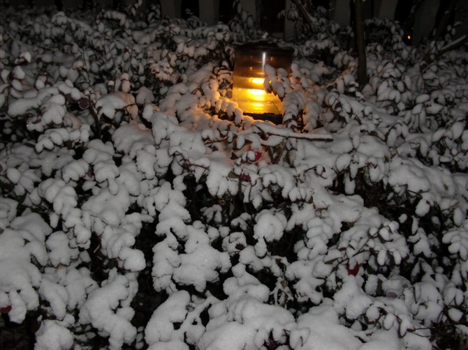 雪1.jpg