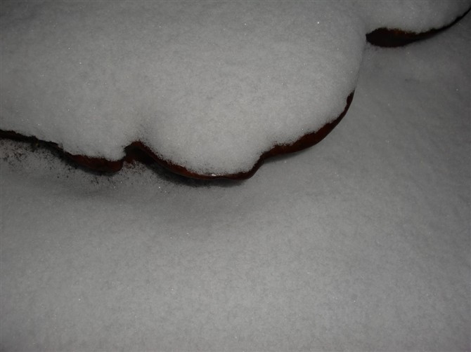 雪7.jpg