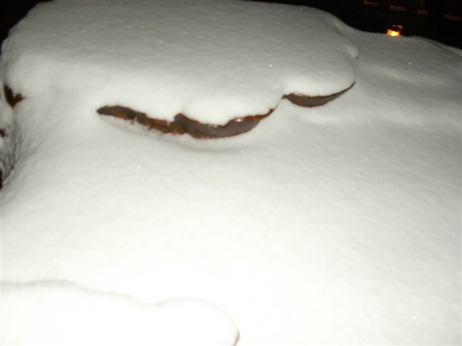 雪6.jpg