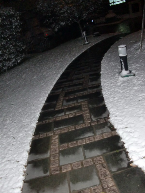 雪10.jpg