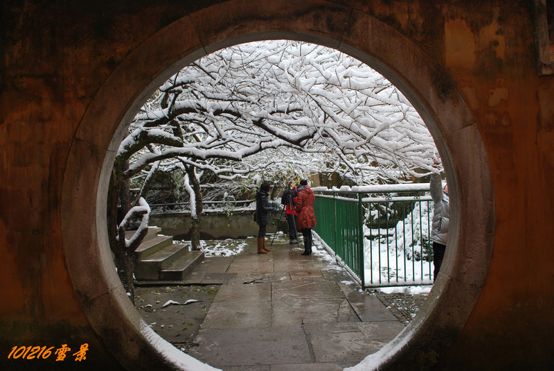 101215雪 158.jpg