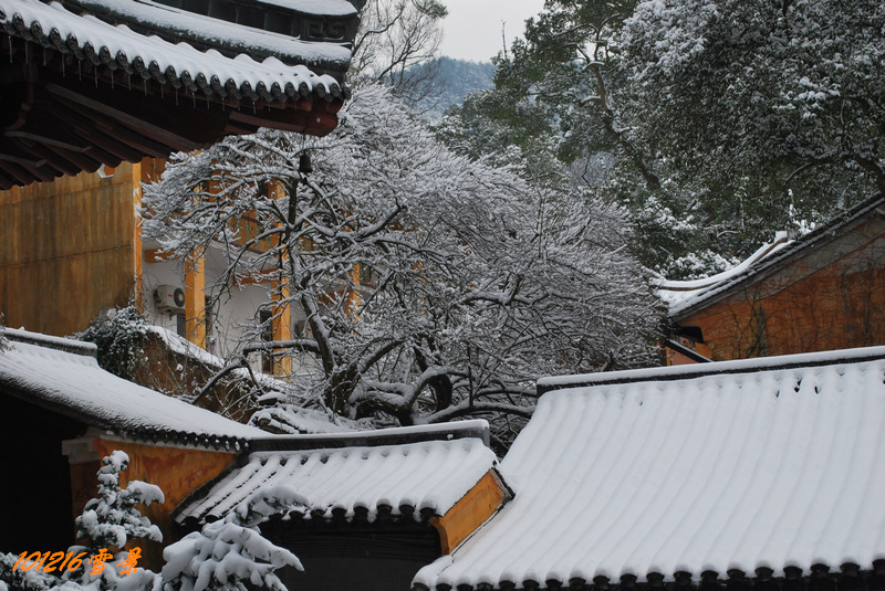 101215雪 156.jpg
