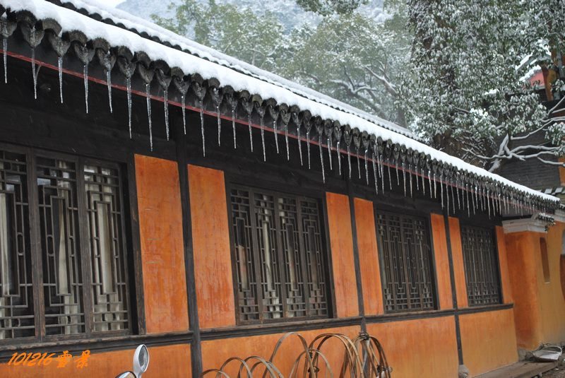 101215雪 151.jpg