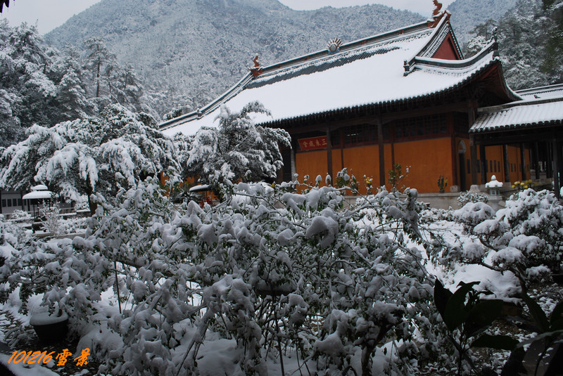 101215雪 167.jpg