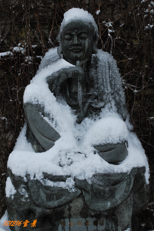 101215雪 101.jpg