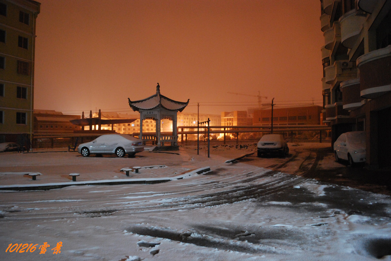 101215雪 084.jpg