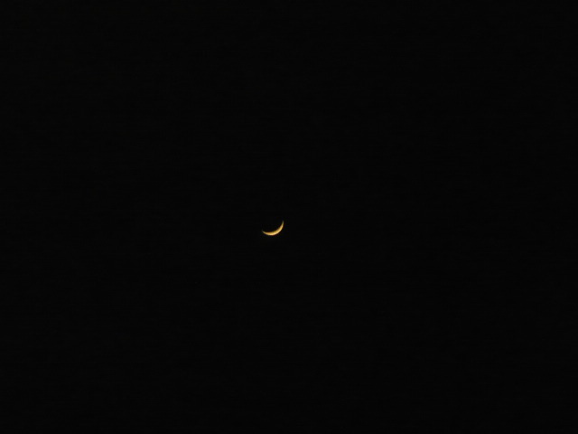 P1050043.JPG