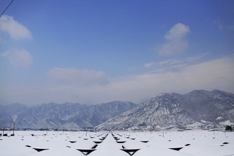 照片 462.jpg