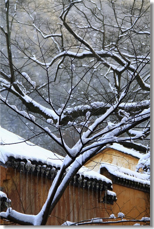 未命名-4.jpg
