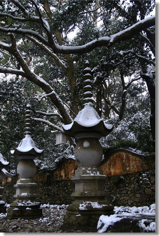 未命名-1.jpg