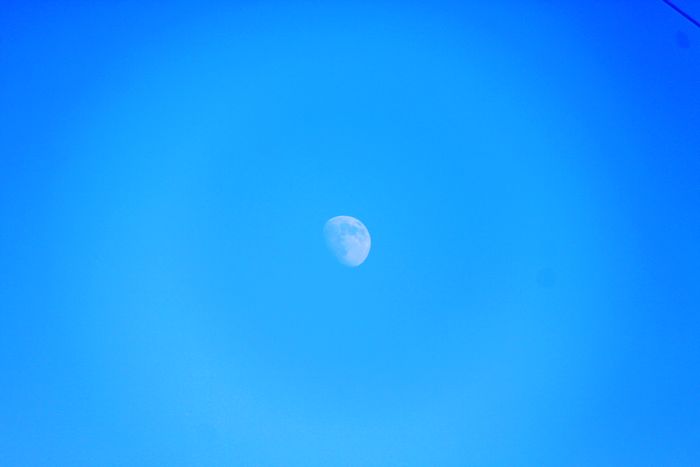照片 003.jpg