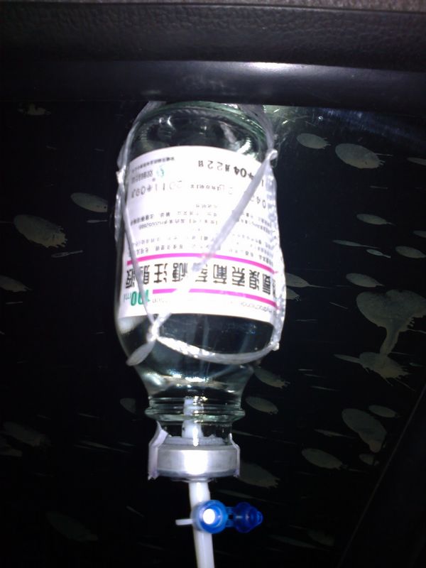 20101217990.jpg