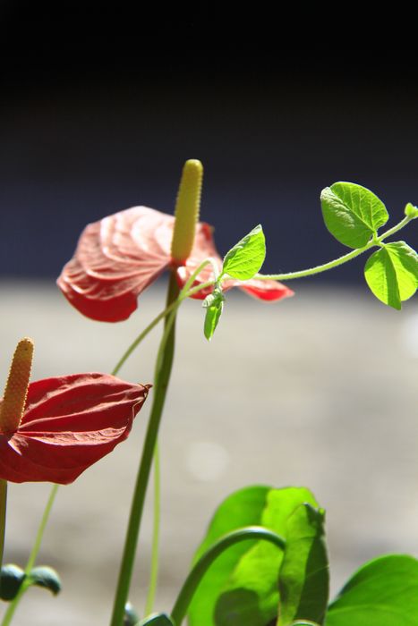 照片 052.jpg