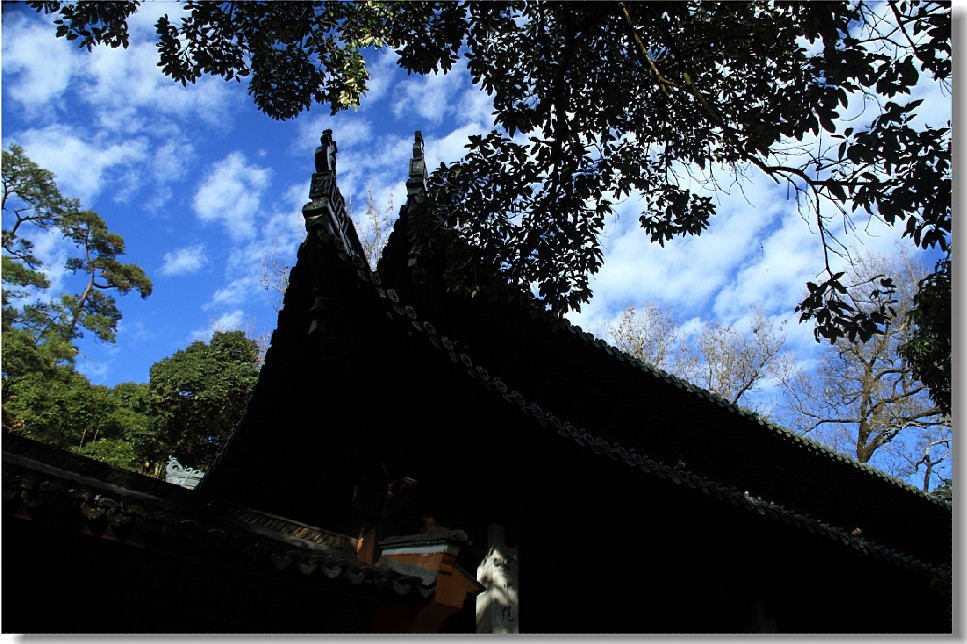 未命名-55.jpg
