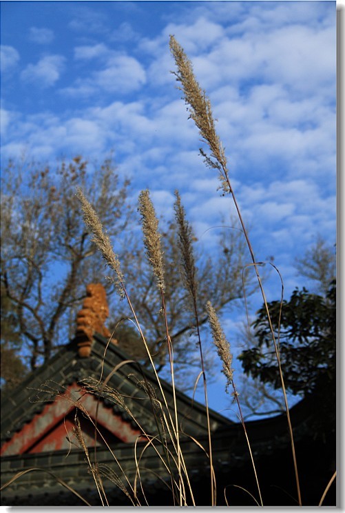 未命名-66.jpg