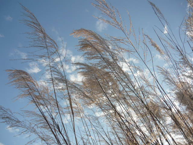 P1050152.JPG