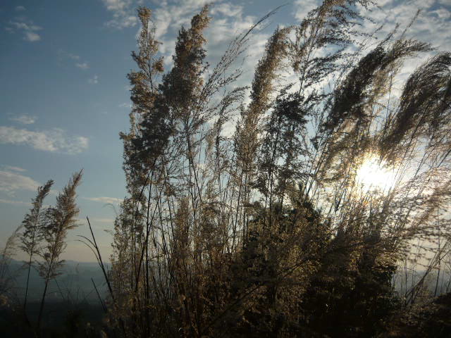 P1050173.JPG