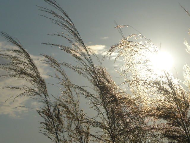 P1050179.JPG