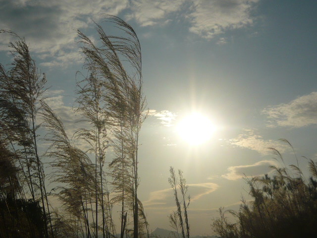 P1050183.JPG