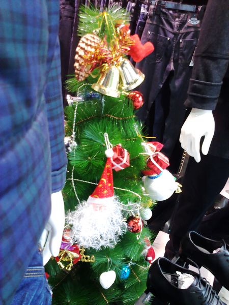 201012241536.jpg
