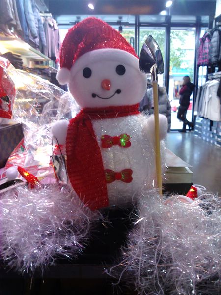 201012241530.jpg