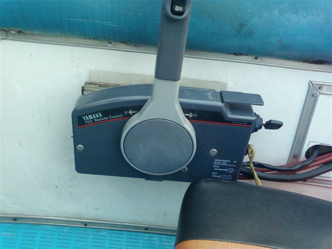 75445345.jpg