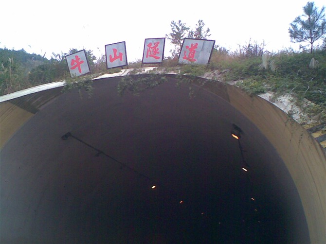 5434435.jpg