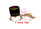 20080526_16155f0cc804cd611b04KgUXUUrIL5Fv.png