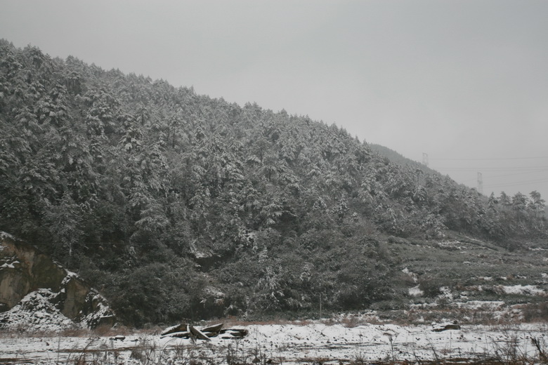 IMG_8530_调整大小.JPG