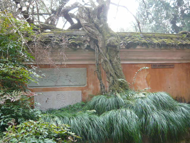 P1050541.JPG