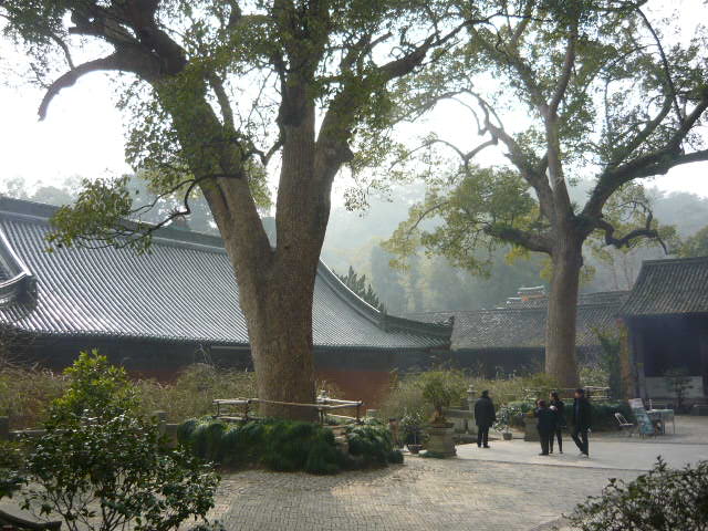 P1050561.JPG