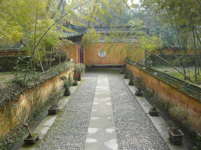 P1050567.JPG