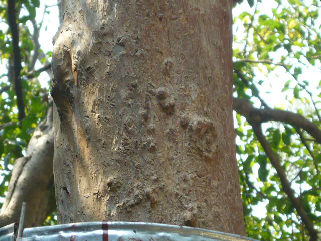 P1050632.JPG