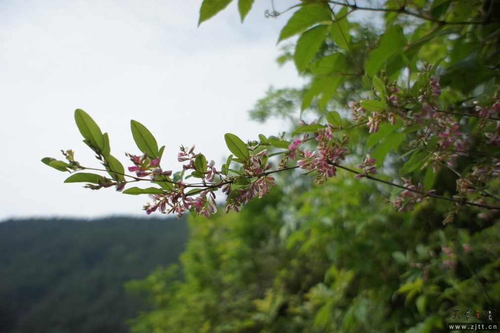 DSC00574_调整大小.jpg