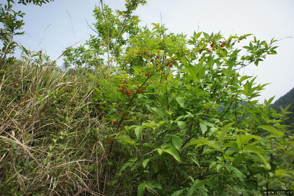DSC00577_调整大小.jpg