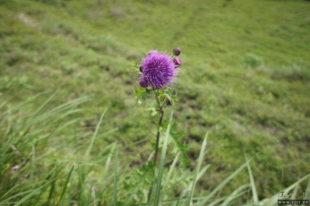 DSC00591_调整大小.jpg