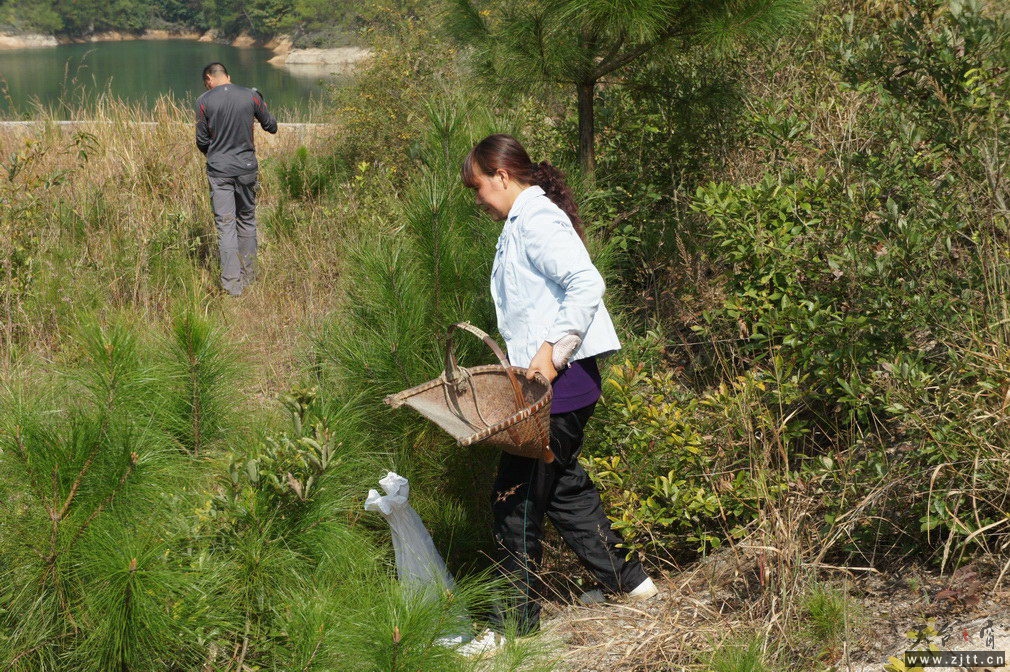 DSC01732_调整大小.jpg