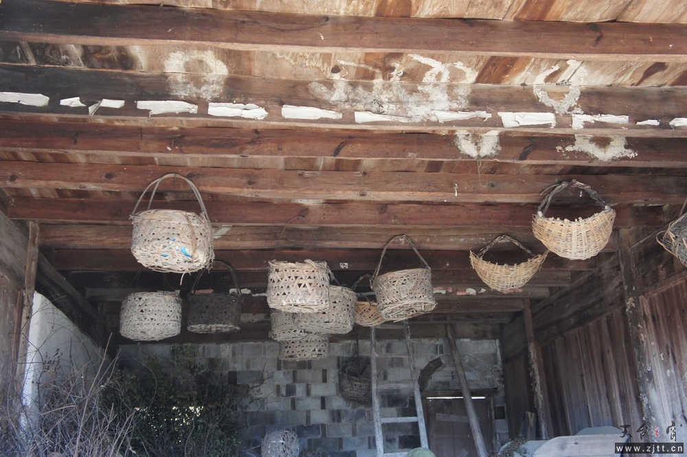 DSC04195-1.JPG