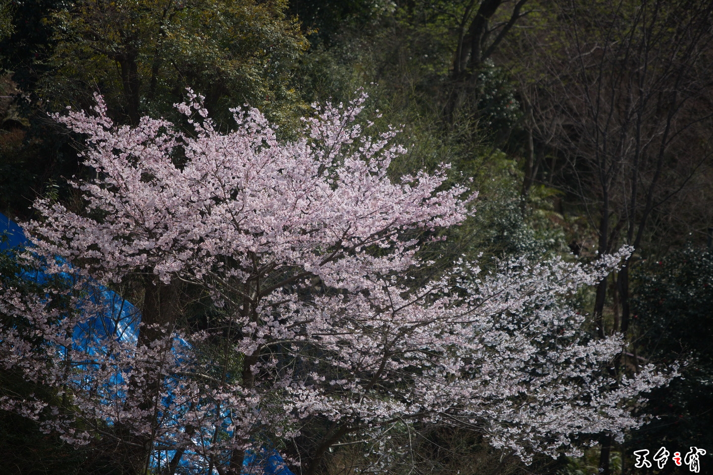 125A2078.jpg
