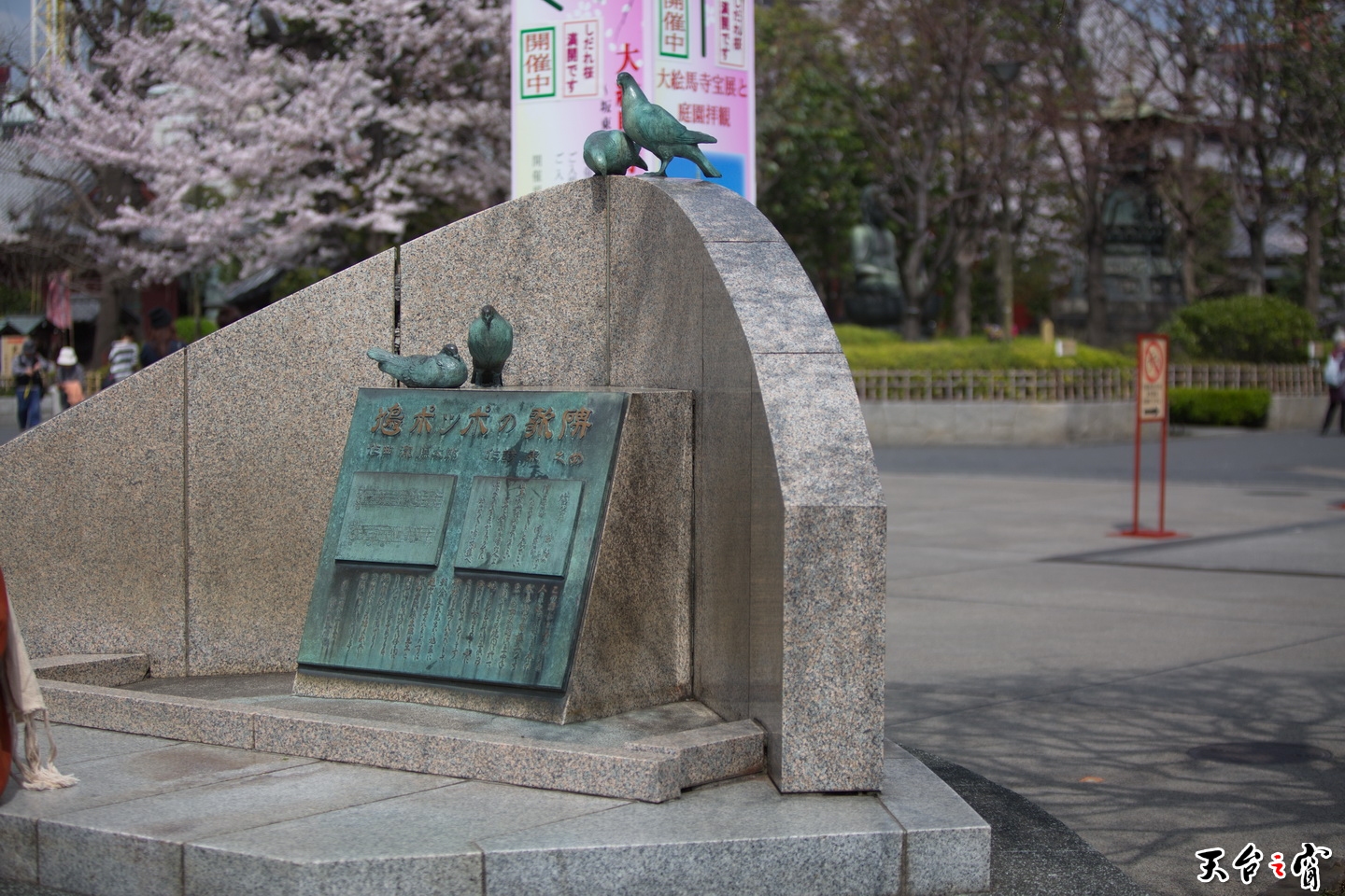 125A2966.jpg
