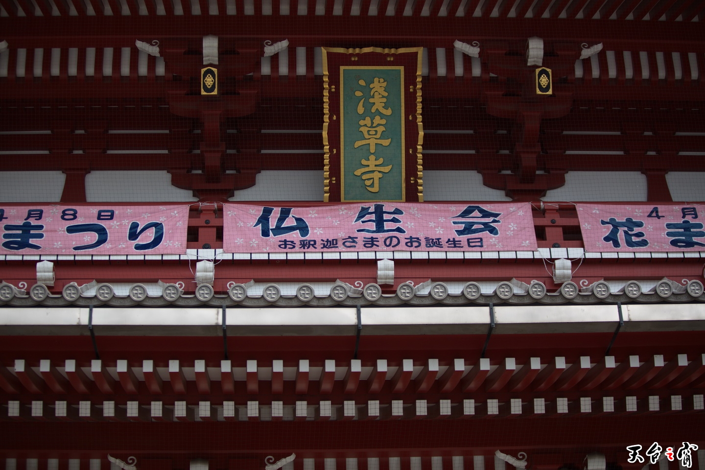 125A2971.jpg