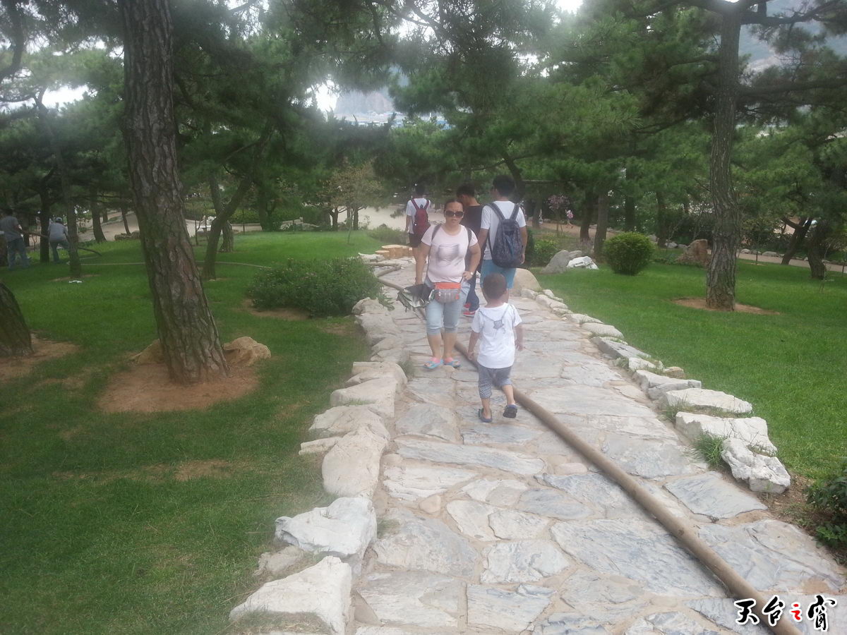 20140814_132204_调整大小.jpg