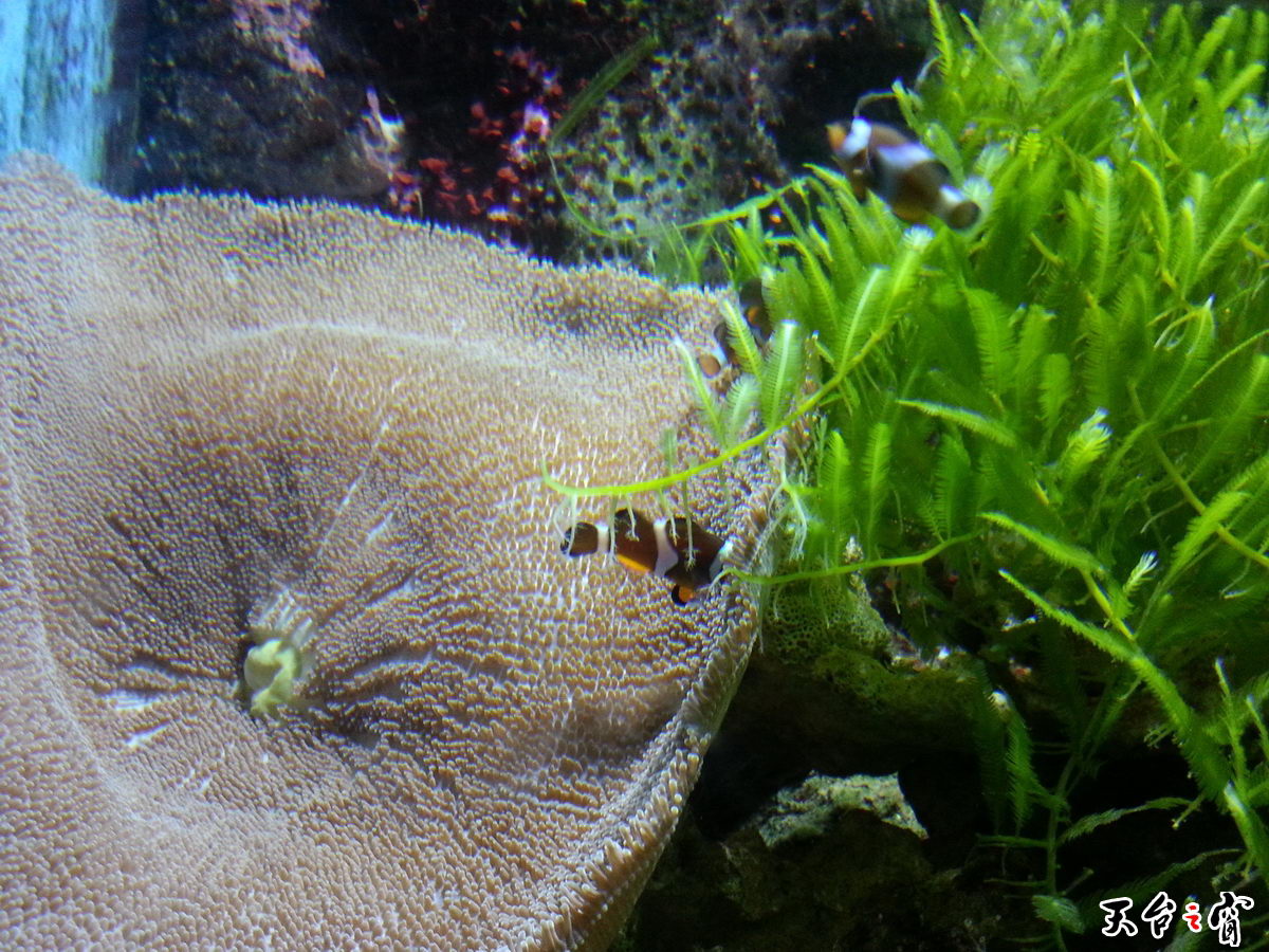 20140814_140130_调整大小.jpg